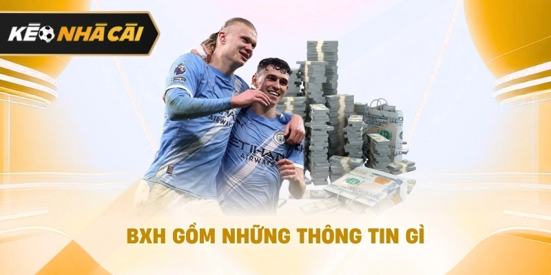 Ở góc nhìn tổng thể, bXH gồm những thông tin gì? nên biết