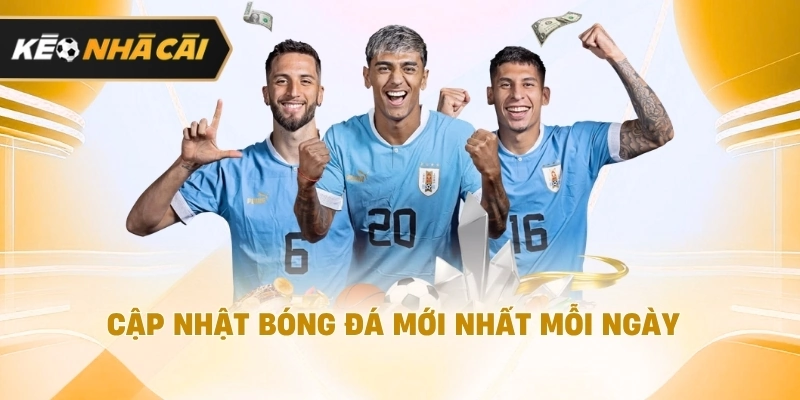 Cập nhật môn thể thao vua mới nhất mỗi ngày nên tham khảo